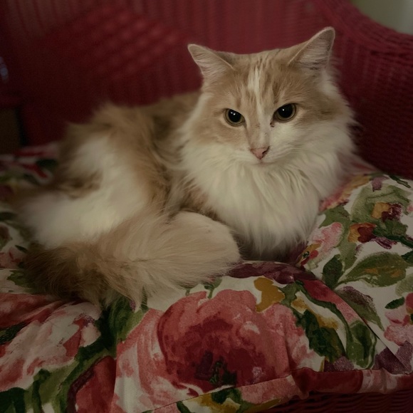 Meet your Posher, Jenny and Andrew - Picture 6 of 11